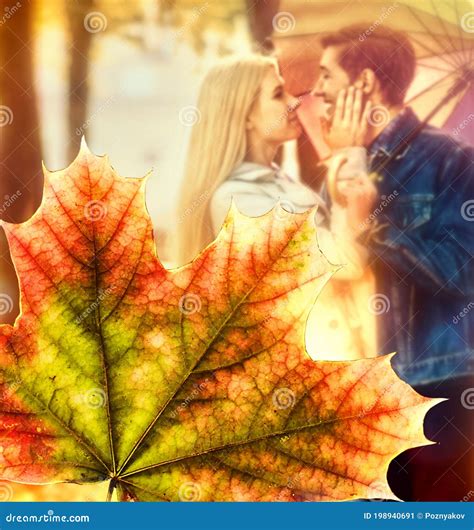 Beautiful Couple Kissing Under Tree In Autumn Park Stock Image Image