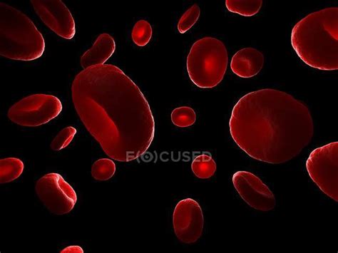Red Blood Cells — Computer Human Representation Stock Photo 160168826