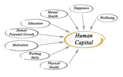 Capital Humano Ejemplos Significado De Capital Humano Por Ejemplo