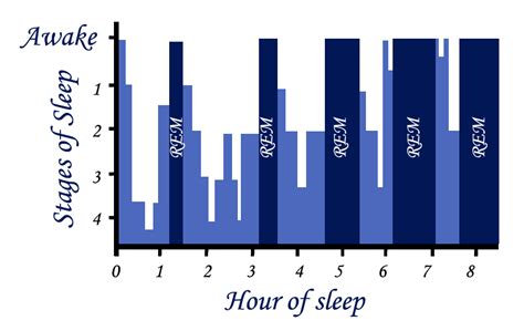 Rem Cycle Chart 842×532 Nrem Sleep Rem Sleep 7 Hours Of Sleep