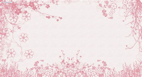 Pink And White Flower Wallpapers Top Free Pink And White Flower