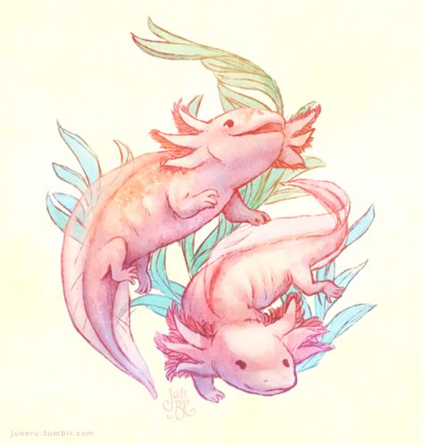 Create cartoon characters, monsters, doodles, as w. Image result for axolotl character study | Ajolote dibujo ...