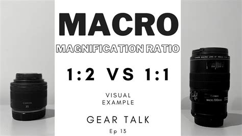 Macro Magnification Ratio 11 And 12 Visual Example Canon Ef 100mm F2