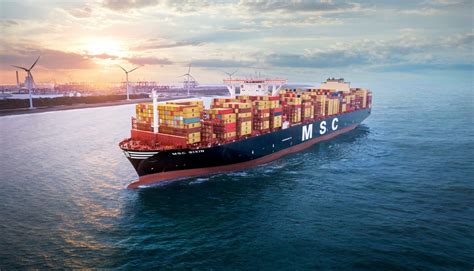 Msc Reports Another Successful Year For Its Reefer Cargo Services