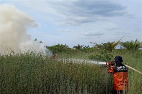 Hektar Lahan Terbakar Pemkab Pali Klaim Nihil Karhutla Rmolsumsel Id