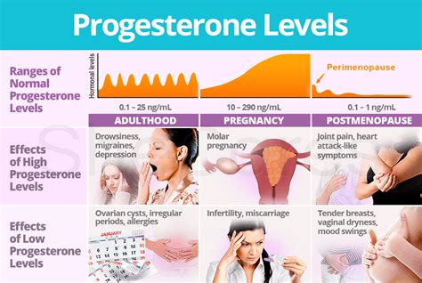 Progesterone Cream Benefits Risks And Alternatives 47 OFF