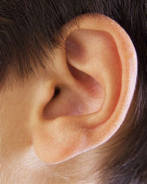 Age Ear Male Hearing Aids Human Ear Ear Art