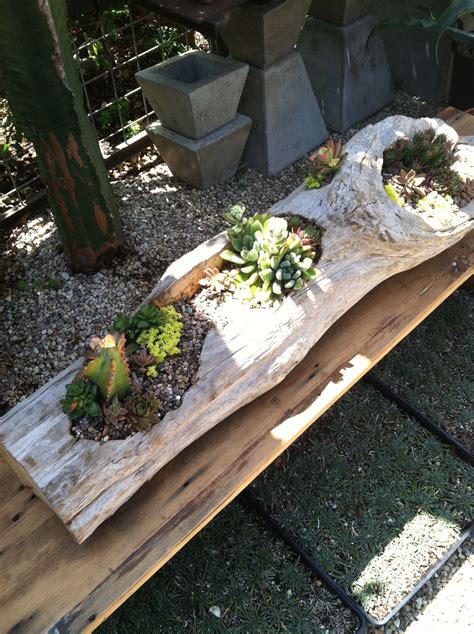 In these areas, your best option may be to use a low maintenance and water savvy mediterranean front garden design such as the idea shown here. New driftwood planter with an array of succulents | 1000 ...