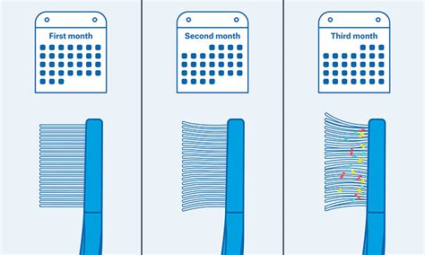 Do you know how many bacteria live on your toothbrush? How often should you replace your toothbrush? | CURAPROX ...