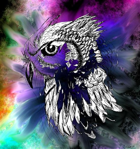 Colors Of The Night Owl Drawing By Abstract Angel Artist Stephen K