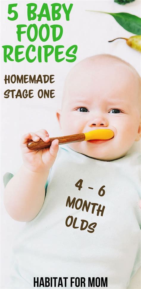 5 Easy Stage 1 Homemade Baby Food Recipes 4 6 Months Baby Food 5