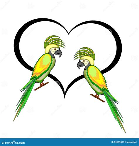A Couple Of Macaw Parrots With A Heart Stock Vector Illustration Of