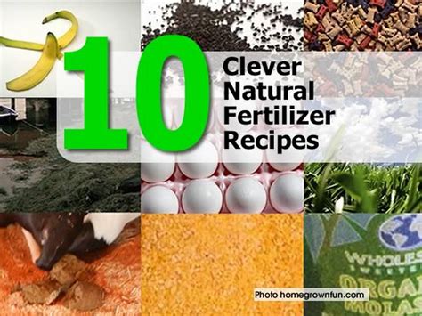 Here's how you can make organic fertilizer from equally organic compost. 10 Clever Natural Fertilizer Recipes