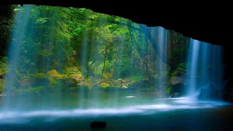 🥇 Green Water Cave Wood Wall Falls Wallpaper 24928