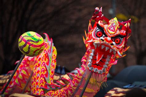 Turmoil and economic instability drove my chinese to leave home, while the promise of a better life pushed them to america. Chinese New Year in Barcelona | Barcelona Connect