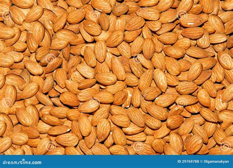 Almond Nuts Texture Stock Photo Image Of Detail Organic