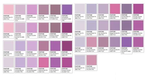 Purples Pantone Color Chart Pink Color Chart Color Names Chart