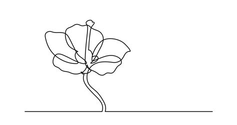 Find & download free graphic resources for flower line art. Floral Minimal Linear Stock Video Footage - 4K and HD ...