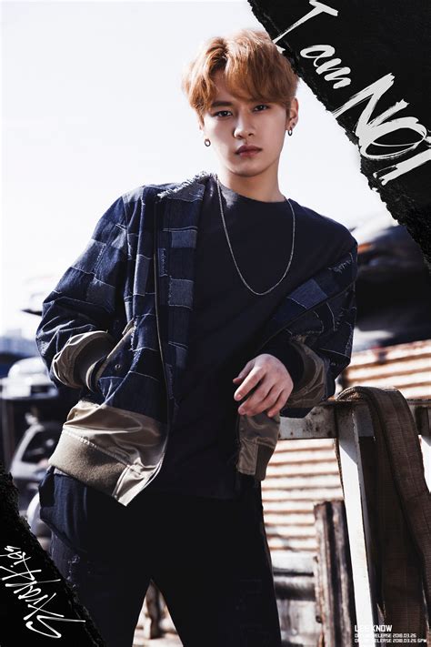 Main dancer, vocalist (fun) facts. Lee Know (Stray Kids) Profile - K-Pop Database / dbkpop.com