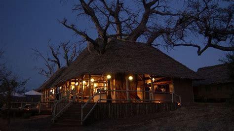 Tarangire Treetops Serengeti Tanzania Luxury Safari Lodge