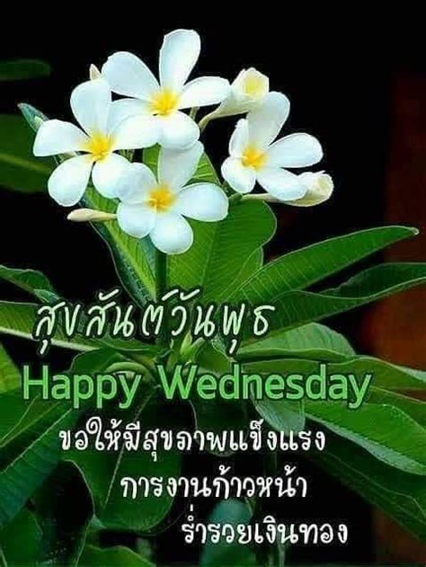 ปักพินโดย Bis ใน 03 Happy Wednesday In Thai วันพุธ ภาพ ธรรมชาติ