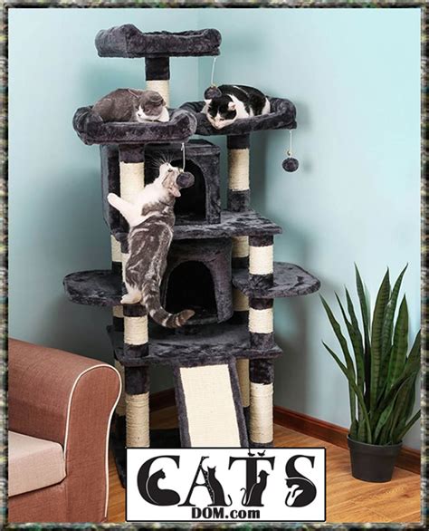 Best Cat Trees For Multiple Large Cats 2023