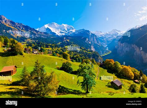 Wengen Swiss Alps Canton Bern Switzerland Stock Photo 61044806 Alamy