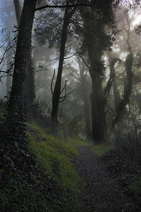 34 Best Secret Pathways Images On Pinterest Forests