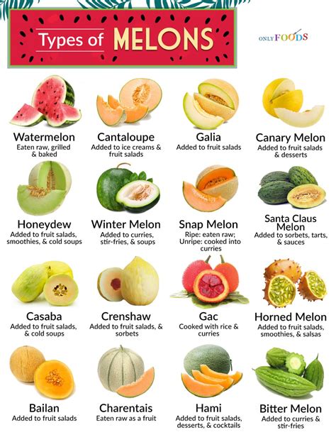 les differents types de melon