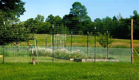 Chicken wire is very thin and unobtrusive. 4 Steps To Build A Simple, Effective Garden Fence - Hobby ...