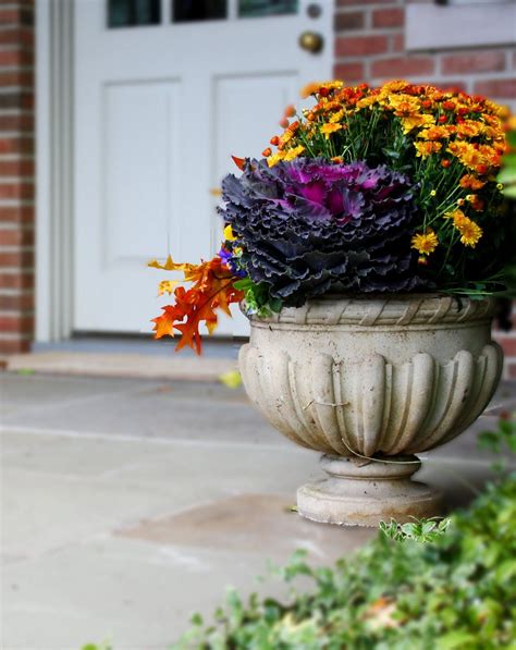 Great Fall Urn Fall Landscaping Fall Container Gardens Fall Flowers