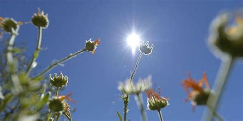 La Temps Du Mercredi 29 Mars Une Journée Ensoleillée Et Douce