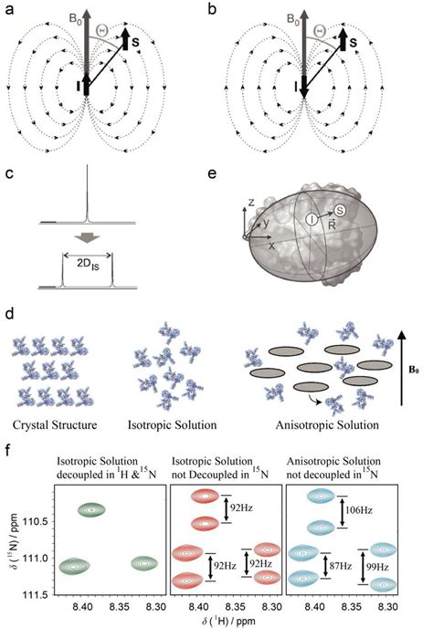 Residual Dipolar Couplings In NMR Spectroscopy Dipolar Interaction