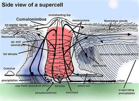 Supercell Side View Mesocyclone Wikipedia Ciencias De La Tierra