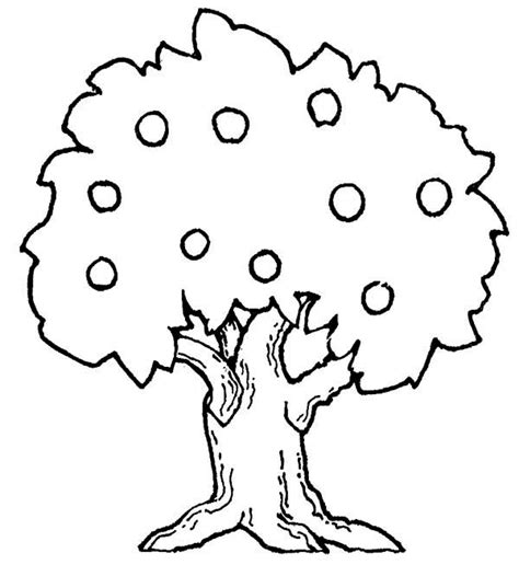 This printable tree coloring page features a cotton tree. Árvore para Colorir e Imprimir - Muito Fácil - Colorir e ...