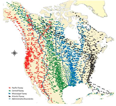 Biological And Administrative Flyways Of North America Courtesy And