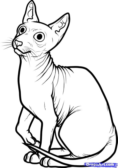 Ancient Egyptian Cat Pages Coloring Pages