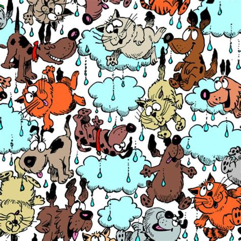 Its Raining Cats And Dogs Phrase Ginger Software