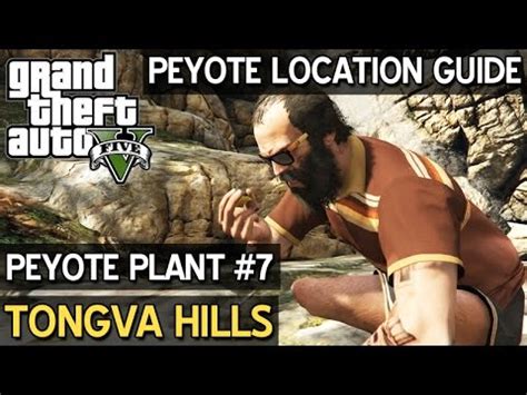 Boars, cougars, and the occasional flyover of a duster. Peyote Location #7 • Tongva Hills • GTA 5 PC - YouTube