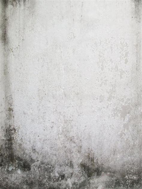 Dirty White Wall Stock Photo Image Of Dried Background 59542842