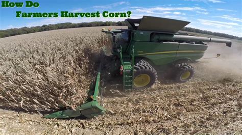 How Do Farmers Harvest Corn The Farmers Life