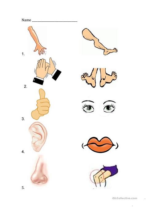 This worksheet provides help in understanding 10 different idioms related to body parts. Body Parts Review - English ESL Worksheets for distance ...