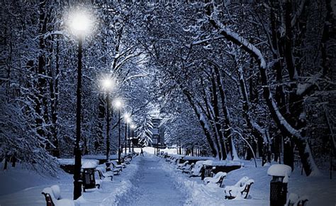 Hd Wallpaper Bare Trees Park Winter Bench Night Lights Path