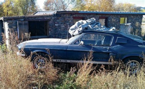 1967 Ford Shelby Mustang Gt500 Fastback Found On Abandoned Ranch In