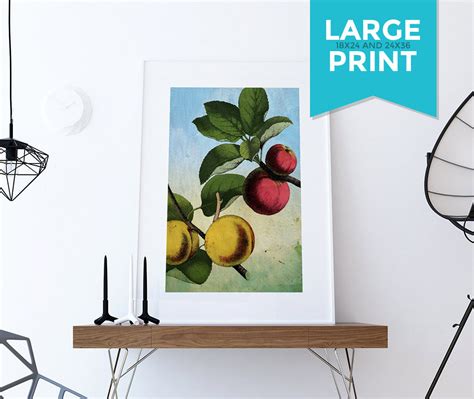 Kitchen Wall Art Apple Apricot Print Kitchen Print Food