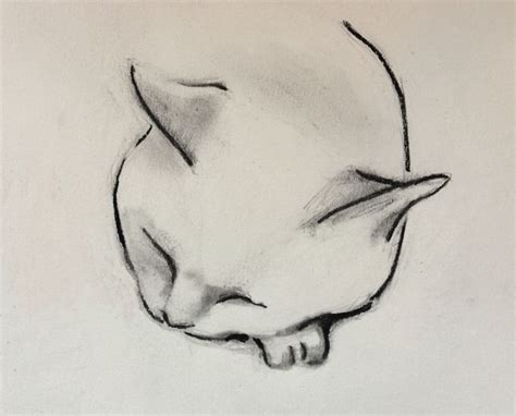 Kellas Campbell Art Pencil Portrait Cat Drawing Drawings