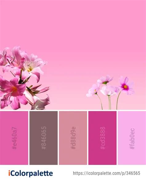 28 Pink Color Combinations Curated Collection Of Color Palettes