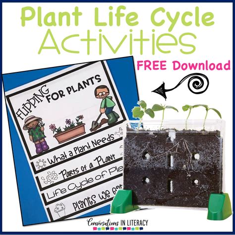 Plant Life Cycle Activities Projects And A Free Printable For Your