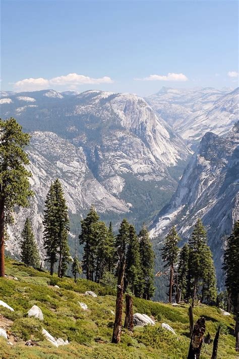 배경 화면 산 나무 계곡 요세미티 국립 공원 캘리포니아 미국 2560x1600 Hd 그림 이미지
