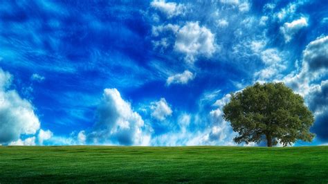 Sunset Clouds Landscapes Nature Trees Grass Fields Skyscapes Land